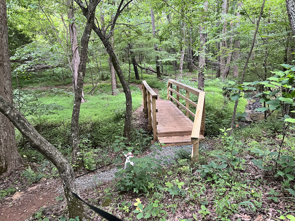 Hines Chapel Trail in Reedy Fork